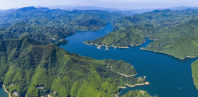 1650419330229675.jpg 1.jpg